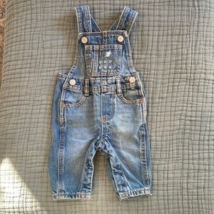 Denim Overalls with flora detail